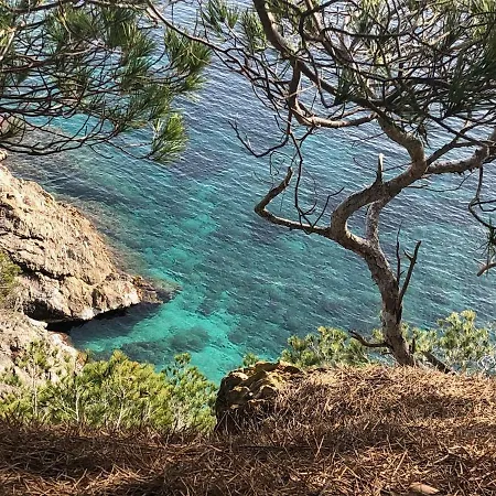 Climatise Proche Des Plages Apartment *