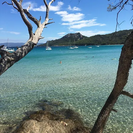 Climatise Proche Des Plages Apartment Carqueiranne